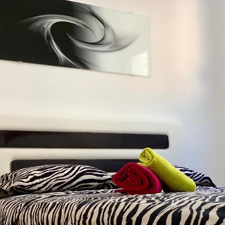 Absolute Apartman Kotor Exteriör bild