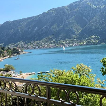 Absolute Apartman Kotor Exteriör bild