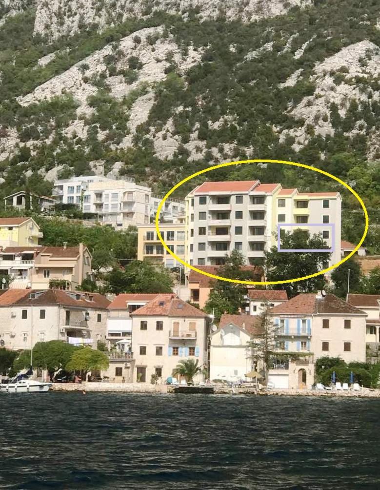 Absolute Apartman Kotor Exteriör bild